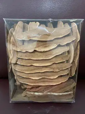 Jamur lin zhi pian asli 100gr