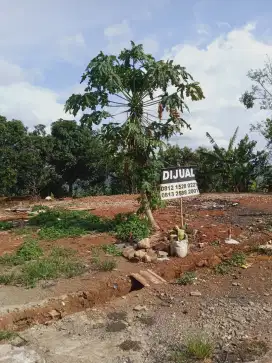 Tanah datar view hutan wisata penggaron disemarang atas