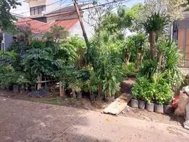 Jual Tanah Kosong Kavling DKI di Meruya Selatan, Jakarta Barat