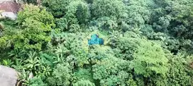 Jual Tanah Komersial di Jl. Gunung Maloko, Cisauk, Tangerang - Banten