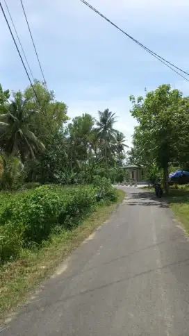 Dijual tanah untuk perumahan  Lt 9000m ld 60 m