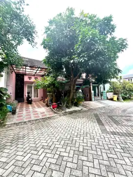 Rumah Bagus Luas 163 m2 di Permata Jingga Dekat Griya Shanta Suhat