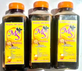 madu hitam asli MS 500ml