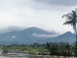 Jual Tanah Murah Dekat Dengan Fasilitas umum