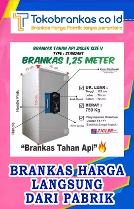 Brankas XCELL kantor Kelurahan Kecamatan Kotamadya cash box baru bekas