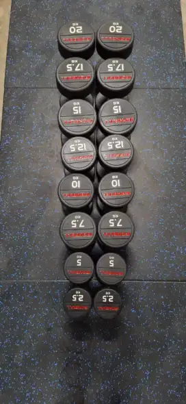 Alat Fitness Dumbell Set Iron Bull