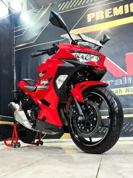 Kawasaki New Ninja 250 FI STD TH 2023 surat panjang DP 8jt an