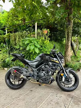 Yamaha MT 25 2019