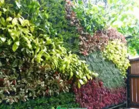 Vertikal garden
