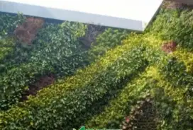 Vertikal garden