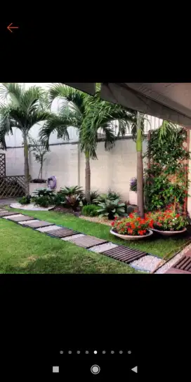 Taman rumput, taman kering