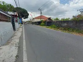 tanah Bagus jarang ada di turi bawah dekat jejamuran