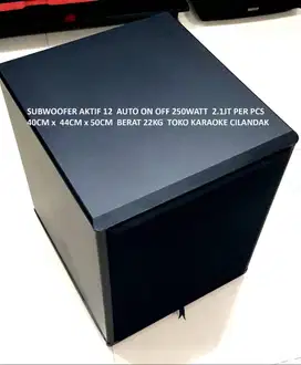 SUBWOOFER AKTIF 12 AUTO ON OFF 250WATT   SUB BASS  pada system karaoke