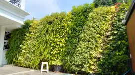 Jasa pembuatan taman, vertical Garden dan taman lainya