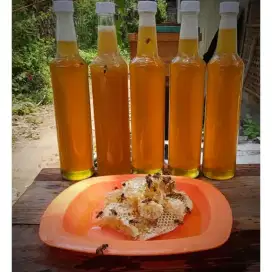 madu murni hasil ternak sendiri