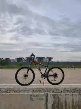 MTB WIMCYCLE HOTROD 2.1 26inch
