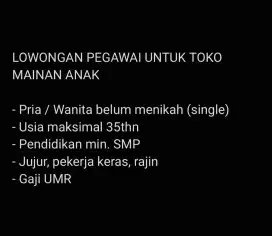 Lowongan Pegawai Toko Mainan Anak