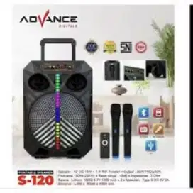 Outdoor, indoor speaker, 12in +2mic wireless