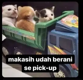 Mencari pekerjaan malam freelance