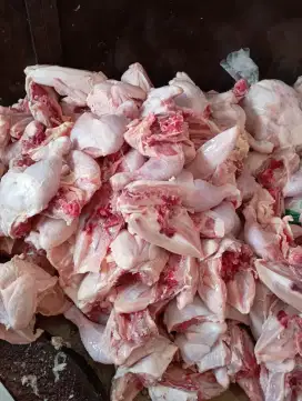 Ayam karkas Frozen & fresh