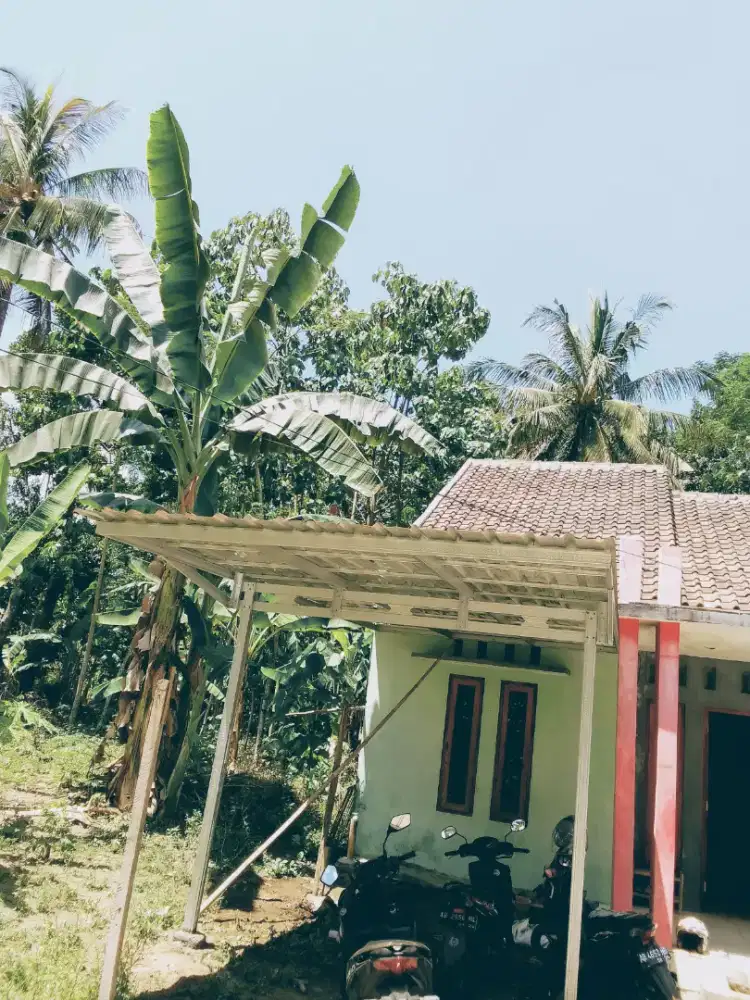 Kanopi baja ringan untuk teras rumah terpasang satu hari jadi