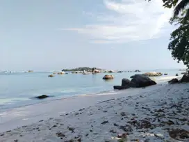 MURAH BANGET. Yang mau investasi di Belitung, bikin penginapan/cottage