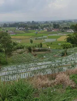 [TURUN HARGA] Dijual Cepat Tanah dengan view cantik di Bukittinggi