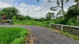 Tanah Jogja Kalasan view Sawah Kas Desa mangku jalan Aspal SHMP