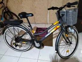 Sepeda Kranjang EXOTIC 5503 MX Ukuran 26 Inch 7 Speed Dewasa perempuan