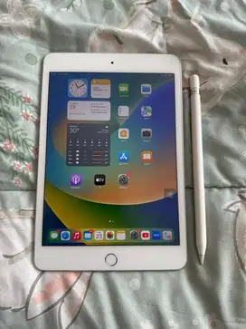 IPAD MINI 5 64GB WIFI ONLY PLUS APPLE PENCIL MULUS EX IBOX