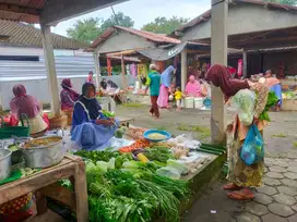 TANAH PEKARANGAN DIJUAL MURAH DI PALUOMBO BENDOSARI SUKOHARJO