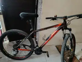 Sepeda gunung Polygon Premier 5