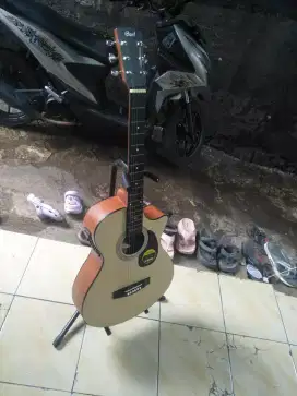 Cort akustik elektrik medium