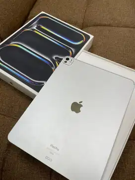 Ipad pro m4 256gb wifi only 13'inchi