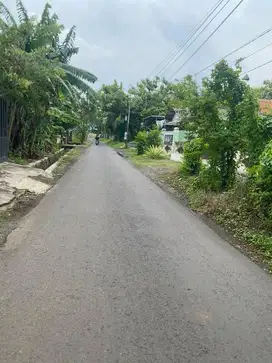 Jual tanah parasrejo pohjentrek pasuruan siap bangun