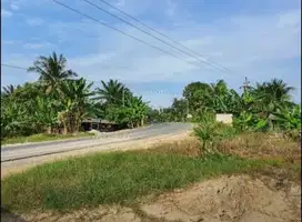 Tanah dijual dilokasi Pangkalan Susu, dekat Aek teluk kiri, Asahan