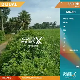 Dijual Tanah Lahan Tebu Di Daerah Ketawang Gondanglegi Malang(OLX517)