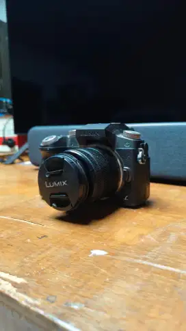 Panasonic G7 second bonus dummy battery