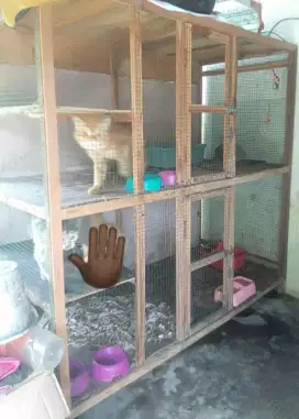 Kandang kucing bekas