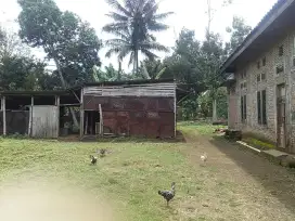 rumah besar nyaman dan asri dekat Kota Salatiga tokonya