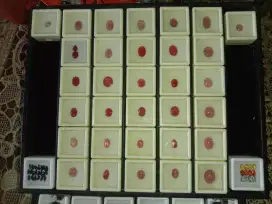 All Ruby Burma 32pc 100ct murah