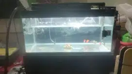 Aquarium komplit