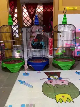 Sangkar Uk Lovebird Free Burung Rawatan