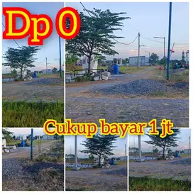 JUAL TANAH KAVLING MURAH BERLOKASI KEDAMEAN GRESIK