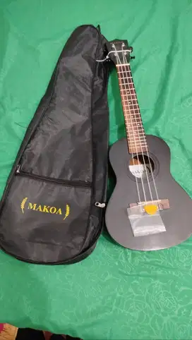 Ukulele Makoa, senar sudah stabil mantap siap dimainkan