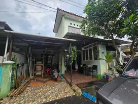 Rumah Oma indah kapuk