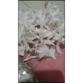 Sarang walet bersih kakian/Terian/Patahan kecil (Harga per 10gram)