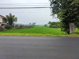 Tanah Murah Luas 5700m2 di Jl. Raya Cibeber Cianjur