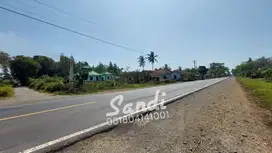 Tanah Strategis Murah di Purworejo Tepi Jl. Daendels Barat Bandara YIA