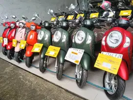 D jual Scoopy 2024